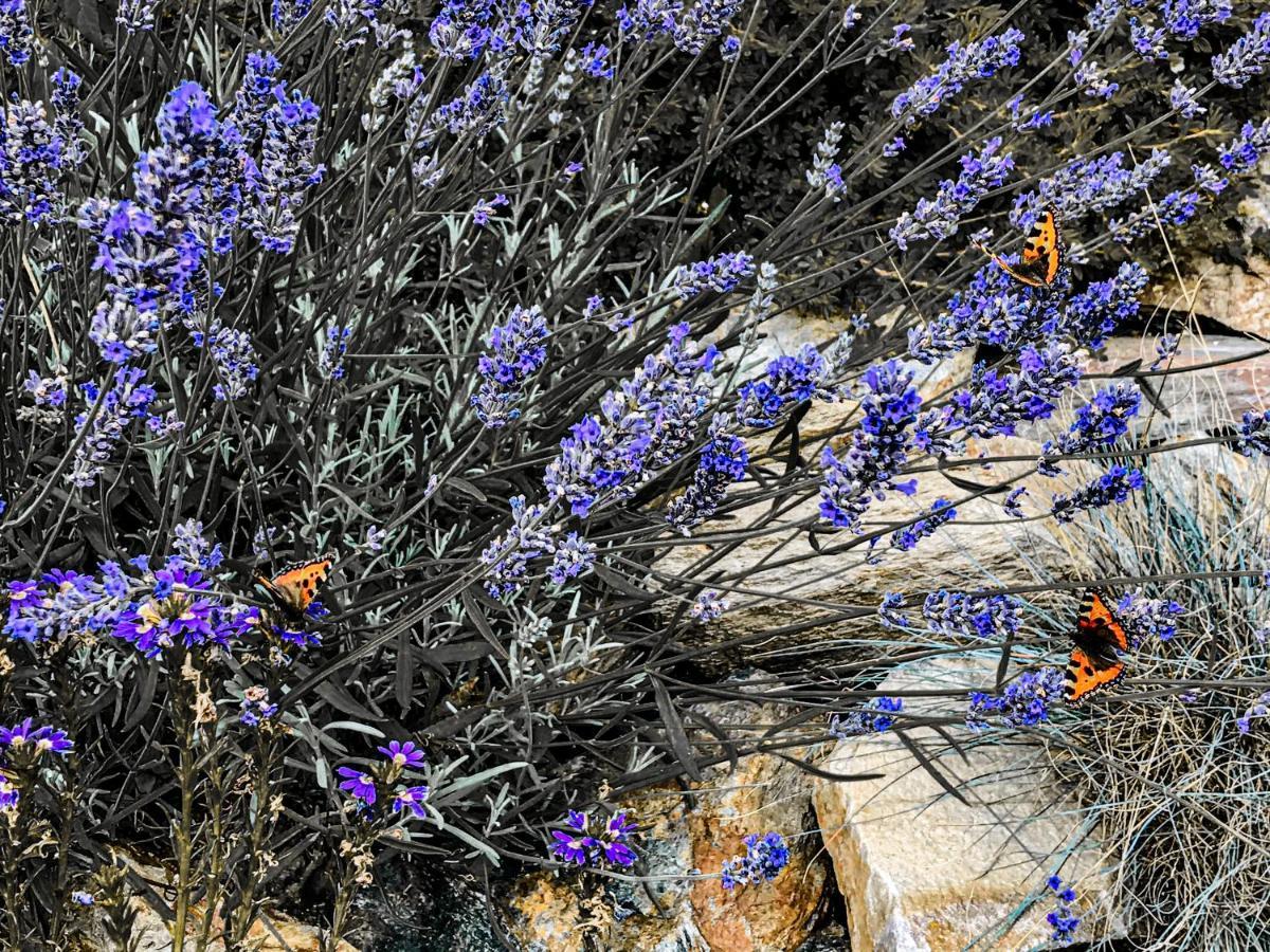 Na Planyrce Paseky nad Jizerou Exterior foto